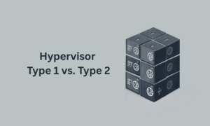 Hypervisor Type 1 vs. Type 2 {{brizy_dc_image_alt entityId=