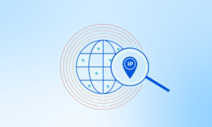IP Address