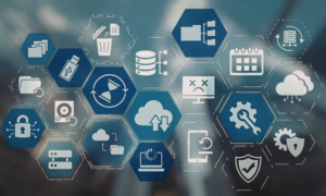 Database Management System Software